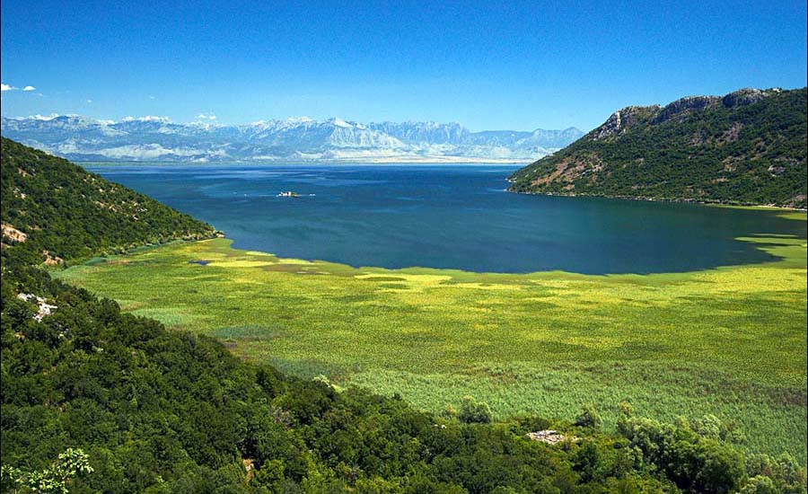 Скадарское озеро | Черногория  