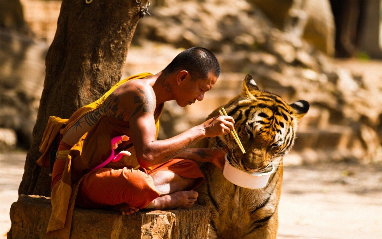 Тигриный монастырь | Таиланд  