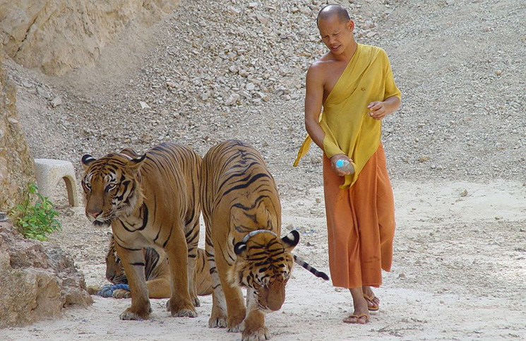 Тигриный монастырь | Таиланд  