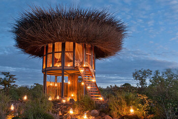 В Кении открылся отель в виде гнезда гигантской птицы 