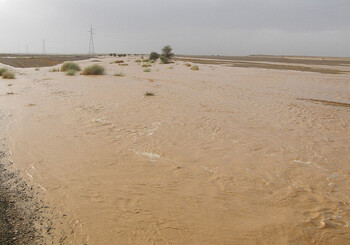 Из-за наводнений в Ливии погибли 3000 человек, 10000 пропали без вести