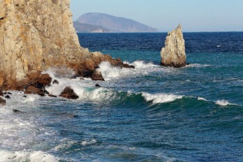 В Крыму объявили вознаграждение за поимку опасного морского хищника
