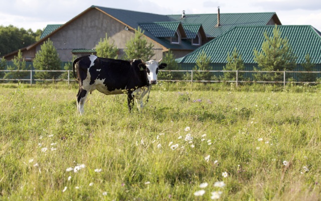 El Rancho Guest House, Хороброво