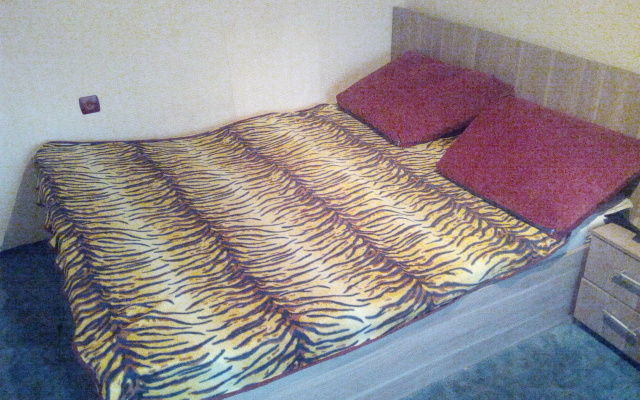 Apartment na Vorovskogo, Челябинск