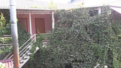Cruise Guesthouse