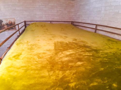 Night in Magic Villins Book