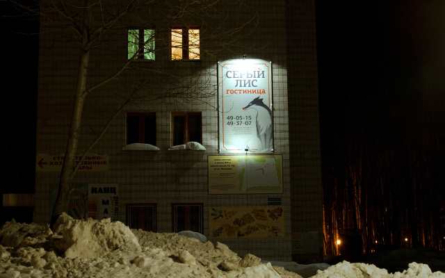 Отель Серый Лис, Томск