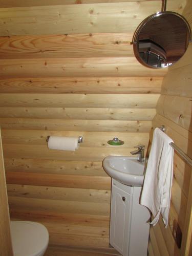 Alyonushkin Teremok Guest House