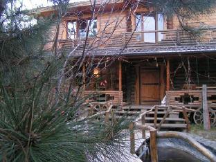 Отель Александр