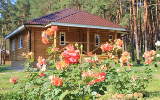 База отдыха Княжья Речка, Михайловское