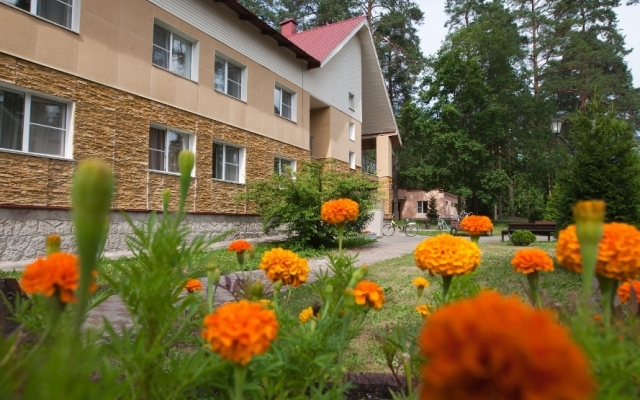 Буревестник, Луга