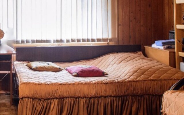 Golitsyin Guest House, Петелино