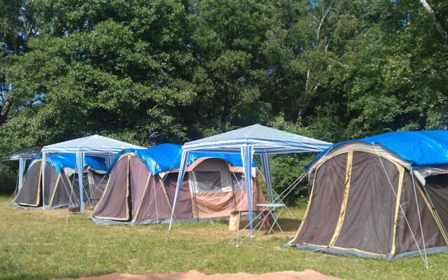 Camping Lesnoy, Лесной