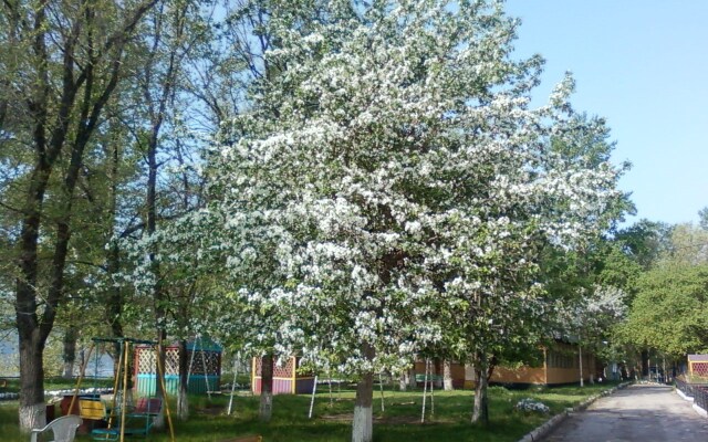 Волна, Тольятти